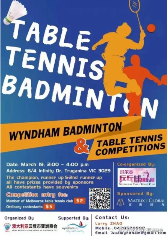 Table Tennis Badmintor